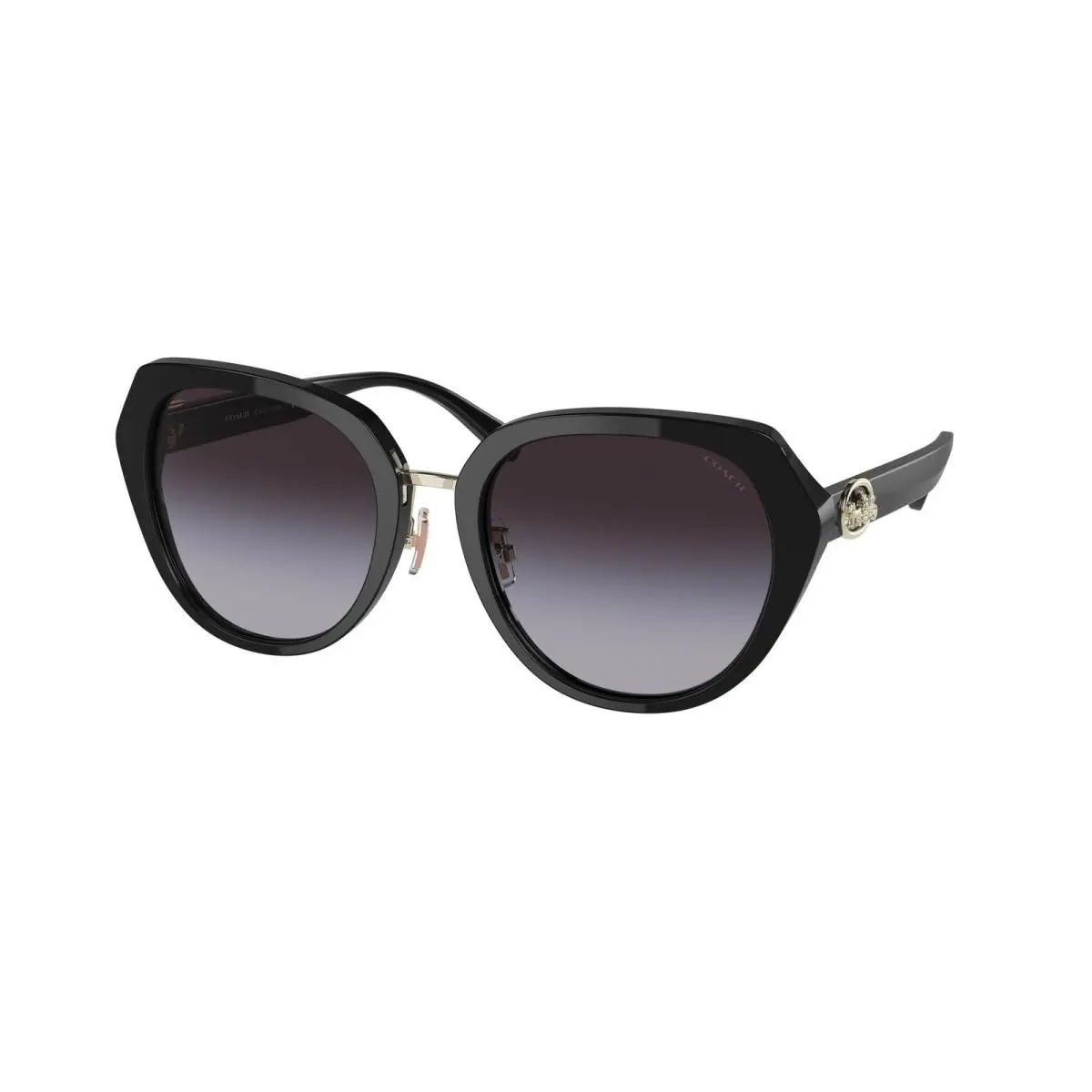 HC 8331 C6189 Black Light Grey Gradien 50028G Size 55 Sunglasses by Coach