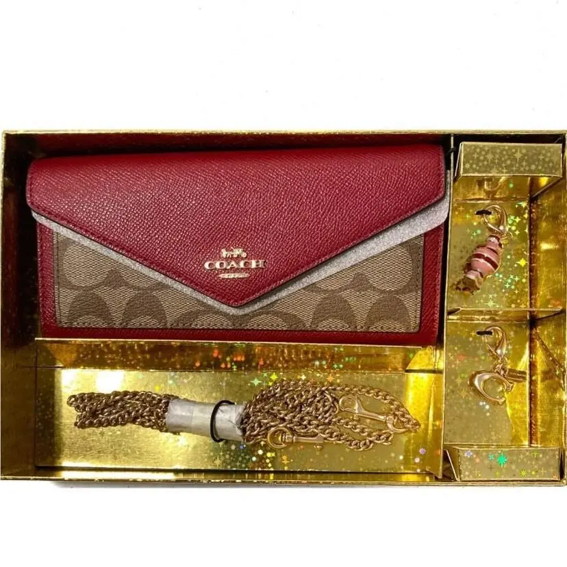 Wallet w/ Chain Crossbody Slim Envelope Gift w/ Charms by Coach