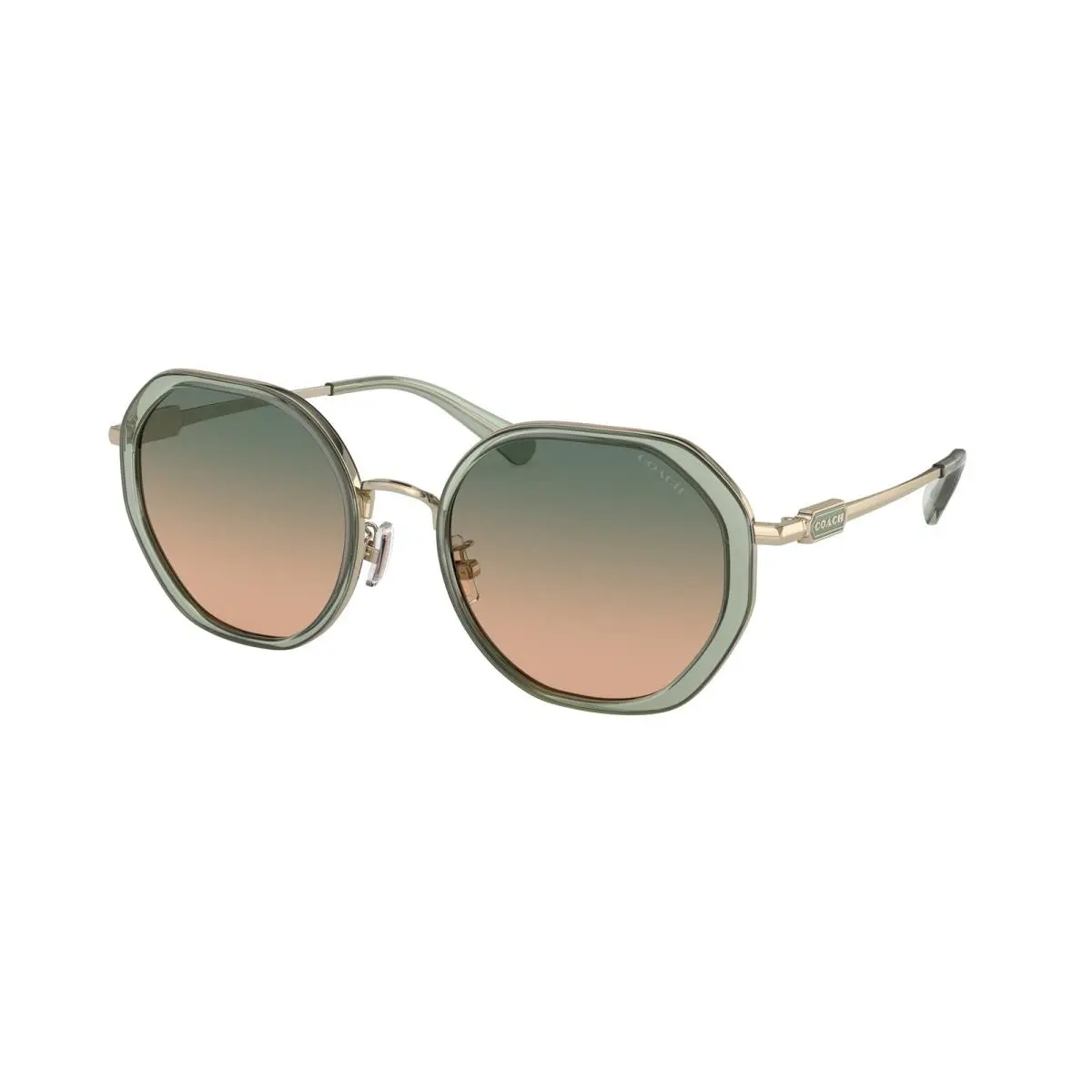 HC 7141 Cd477 Transparent Green / Shin 900513 Size 54 Sunglasses by Coach