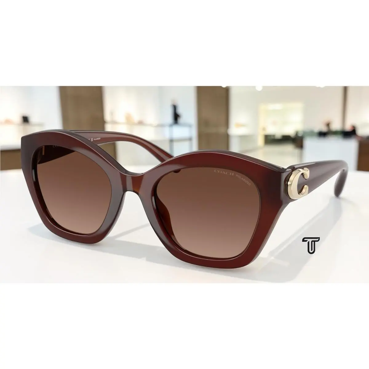 HC8421U 5841T5 Cad31 Milky Hazelnut Brown Grad Polar 54mm Women Sunglasses by Coach