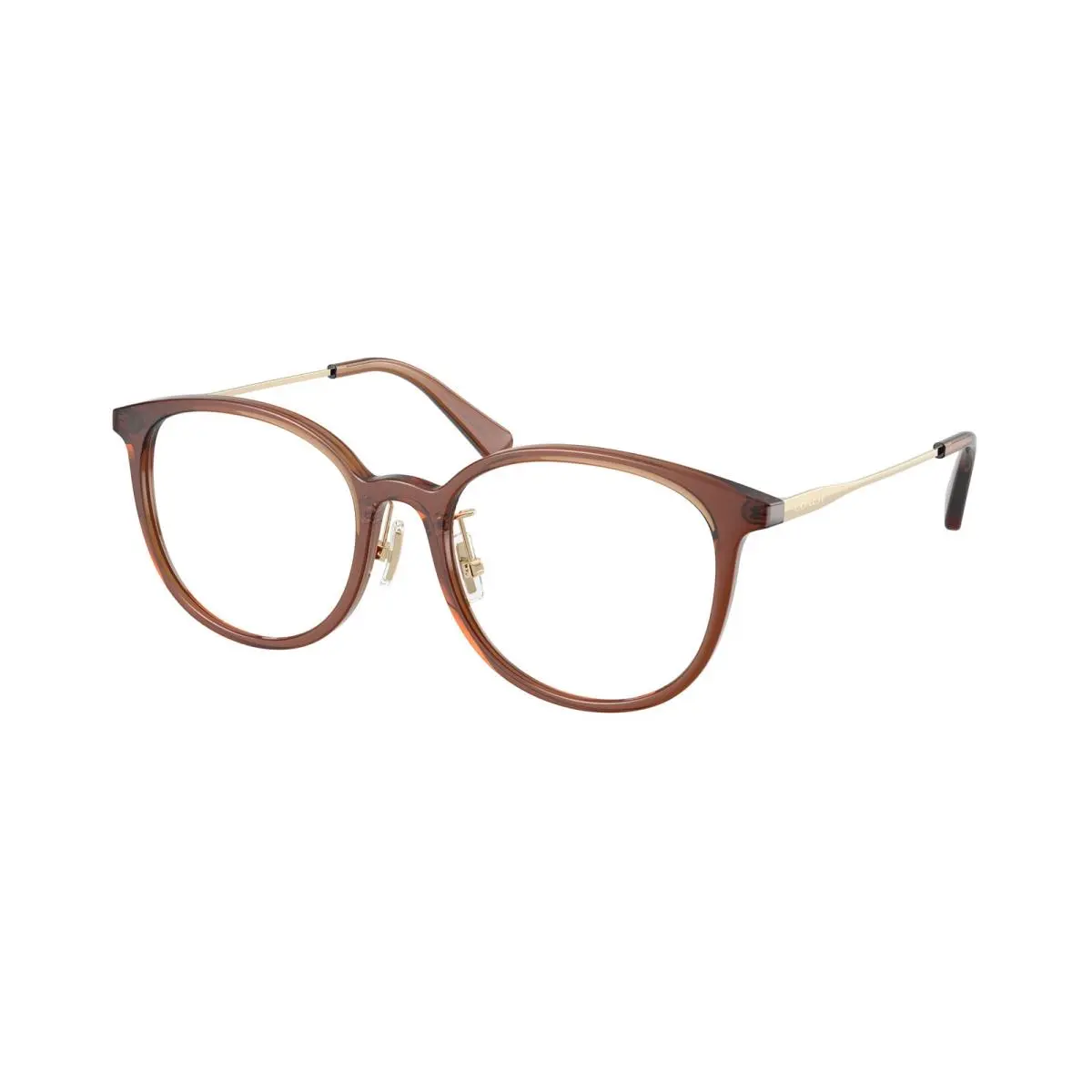 HC 6160 D Transparent Brown 5847 Size 53 Eyeglasses by Coach