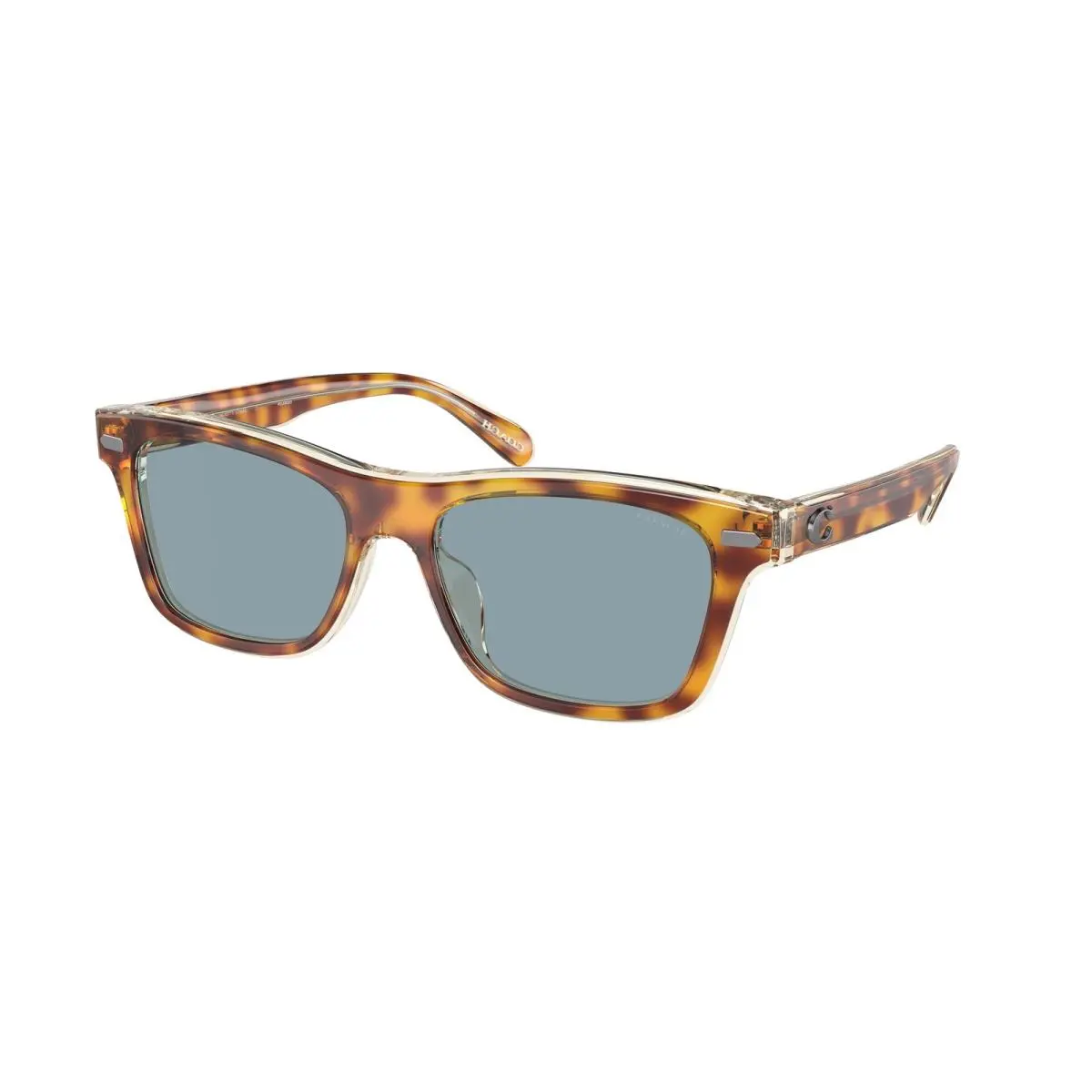 HC 8371 U Ch583 Tortoise / Transparent B 575672 Size 54 Sunglasses by Coach