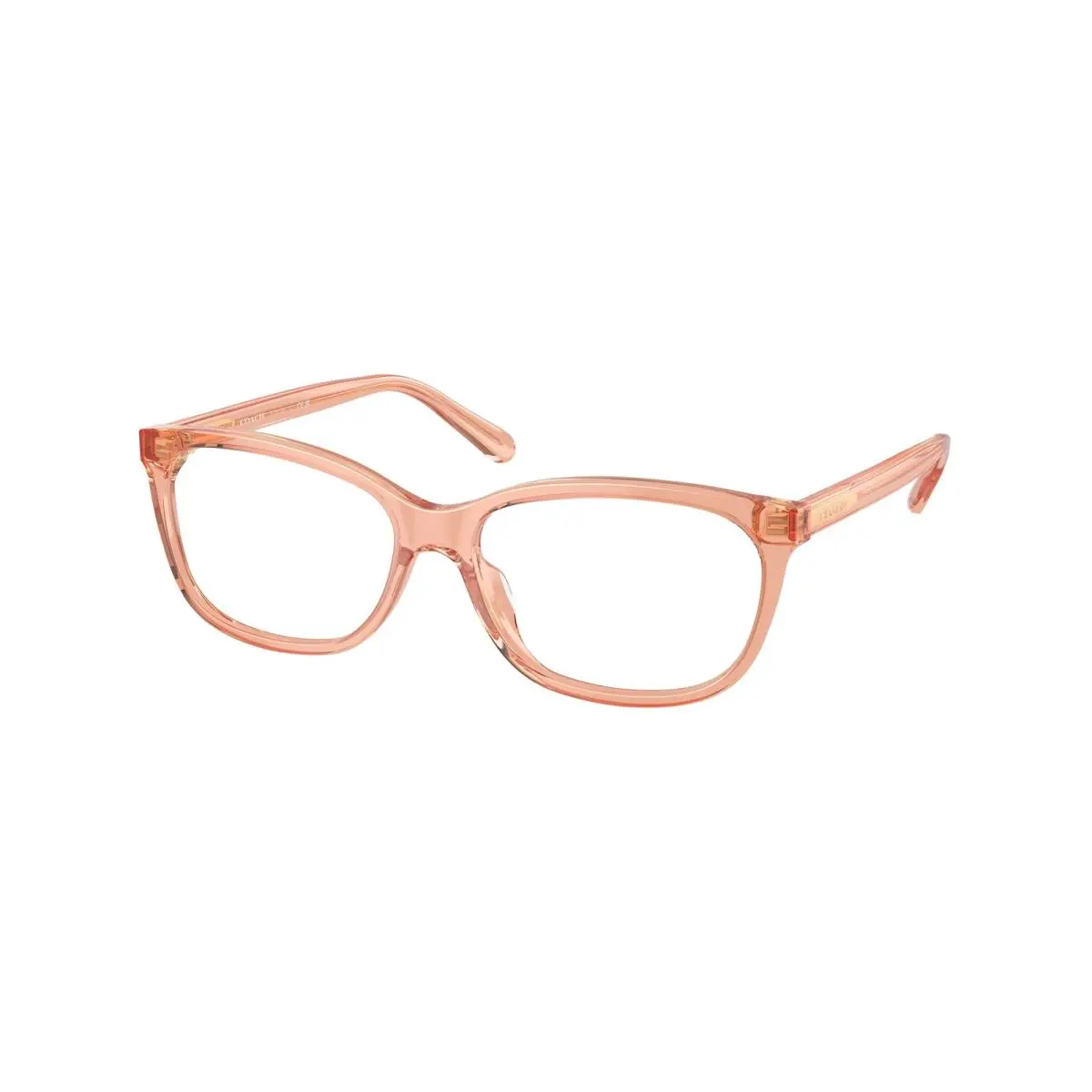 HC 6139 U Transparent Saddle 5822 Size 53 Eyeglasses by Coach