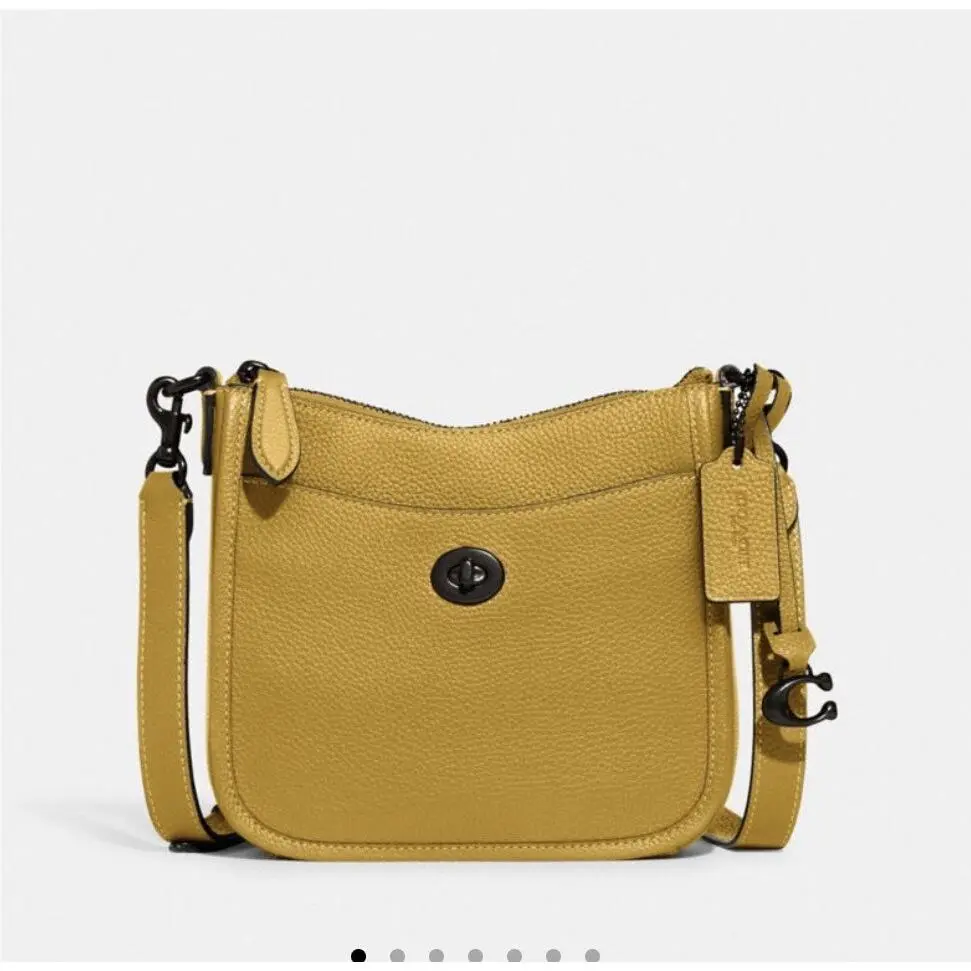 Pebble Leather Chaise Crossbody 19 Pouch Bag CC390 V5/FLAX by Coach