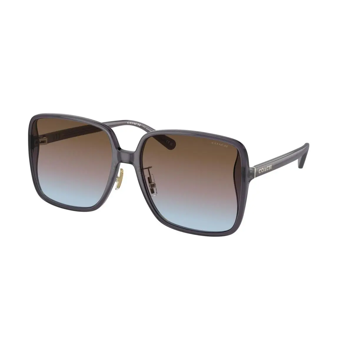 HC 8368 D Ch572 Transparent Violet Brown 575348 Size 61 Sunglasses by Coach