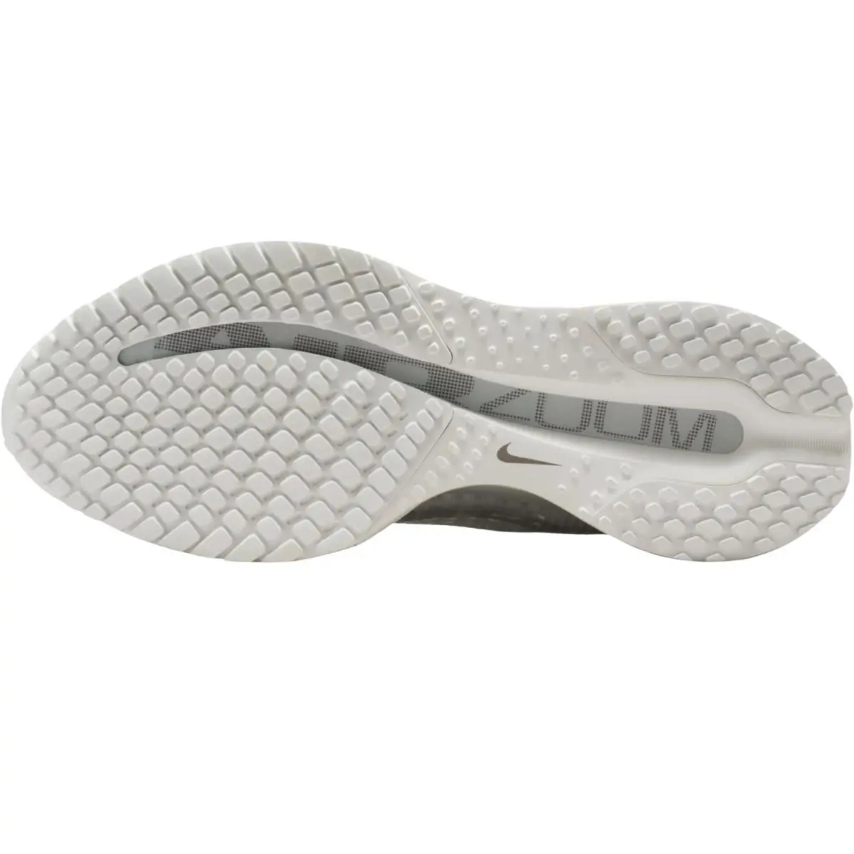 Nike shoes - Nike Pegasus Premium - Pegasus Premium - Barely Green/Work Blue/Football Grey/Blue Void 43