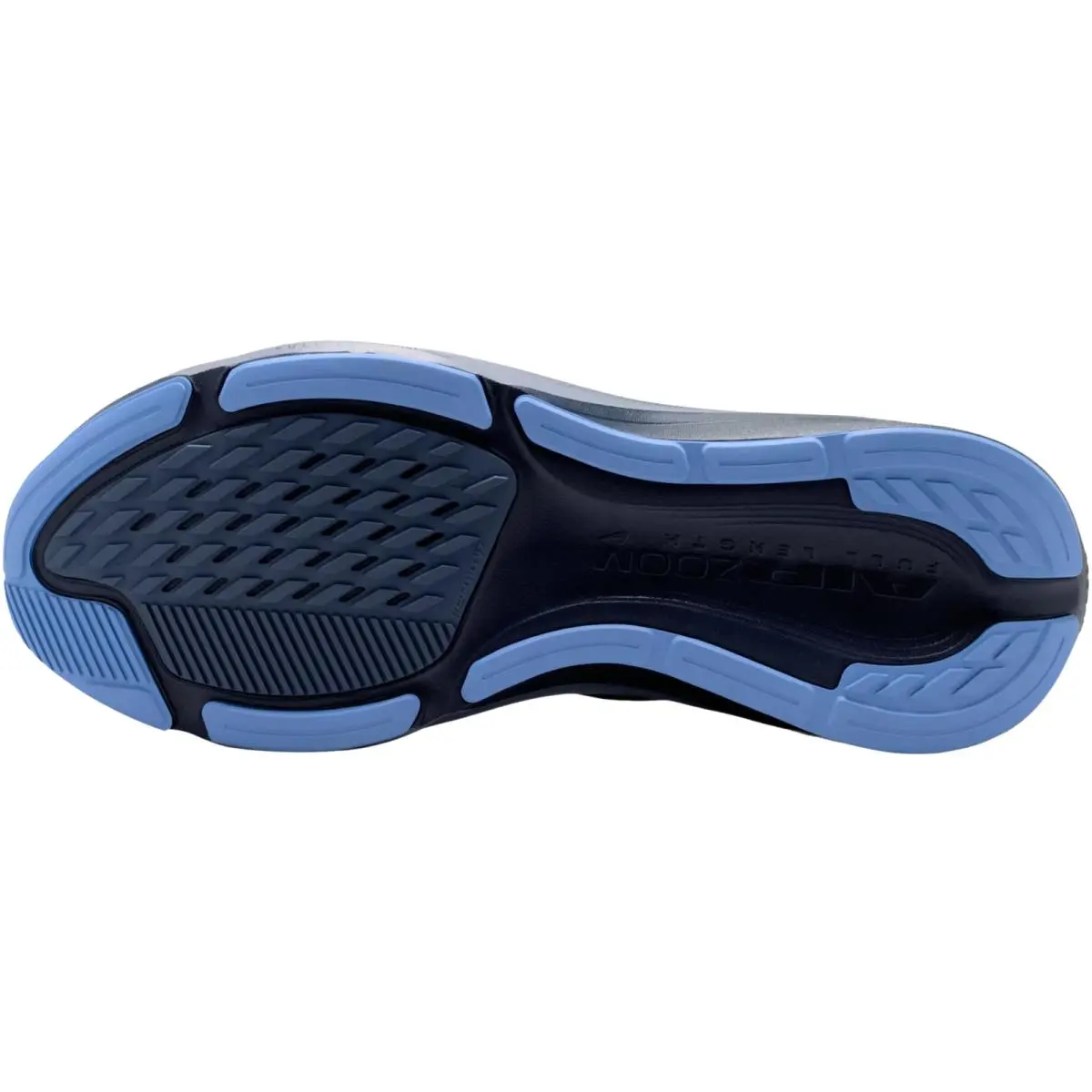 Nike shoes - Nike Pegasus 42 - Pegasus - Diffused Blue/Obsidian/Royal Pulse/Cool Grey 63
