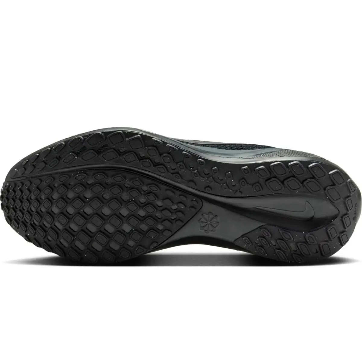 Nike shoes - Nike Pegasus 41 FD2723-001 - Pegasus - FD2723-001 - Black 10
