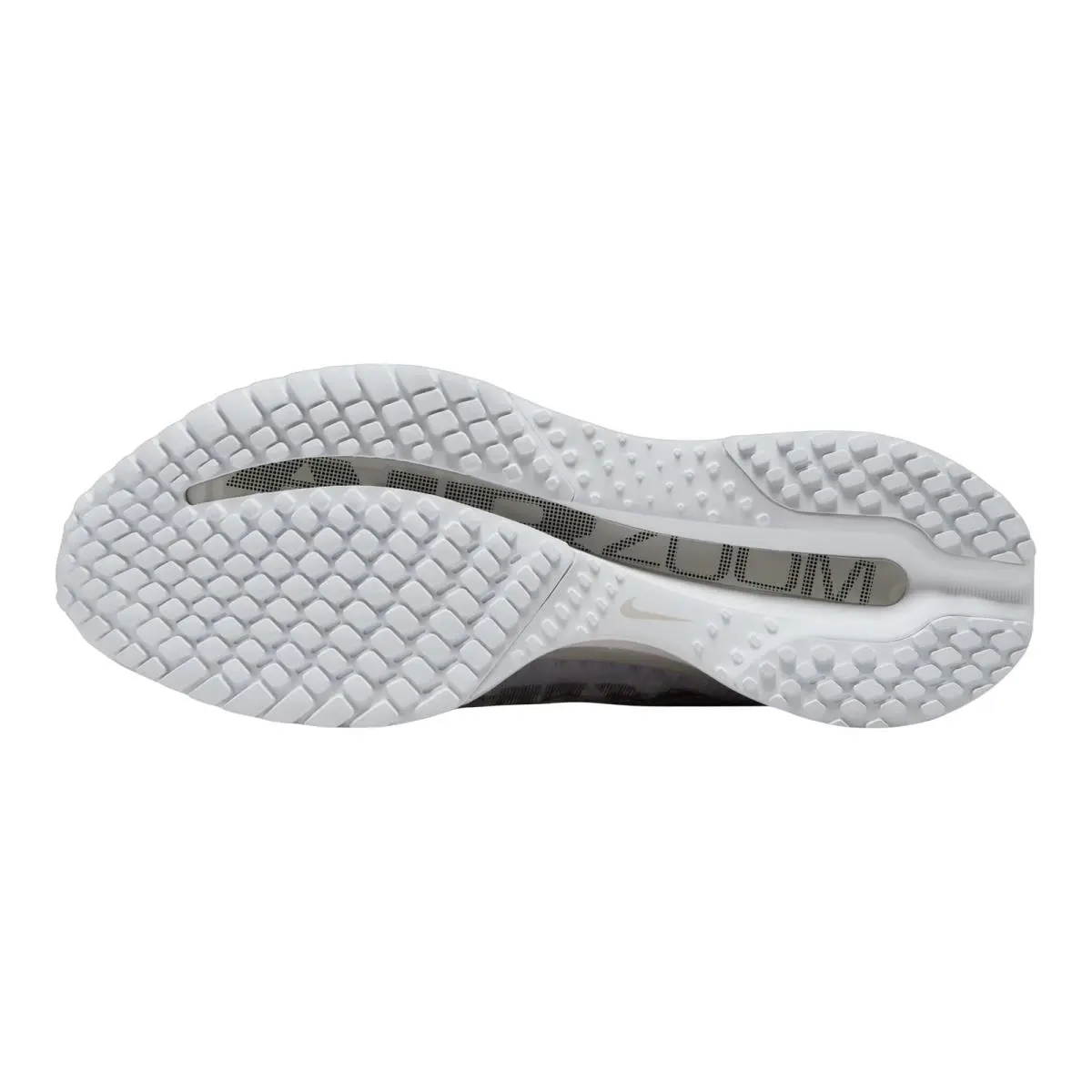 Nike shoes - NIKE Pegasus Premium - Pegasus Premium - Anthracite/Ashen Slate/Football Grey/Pure Platinum 30