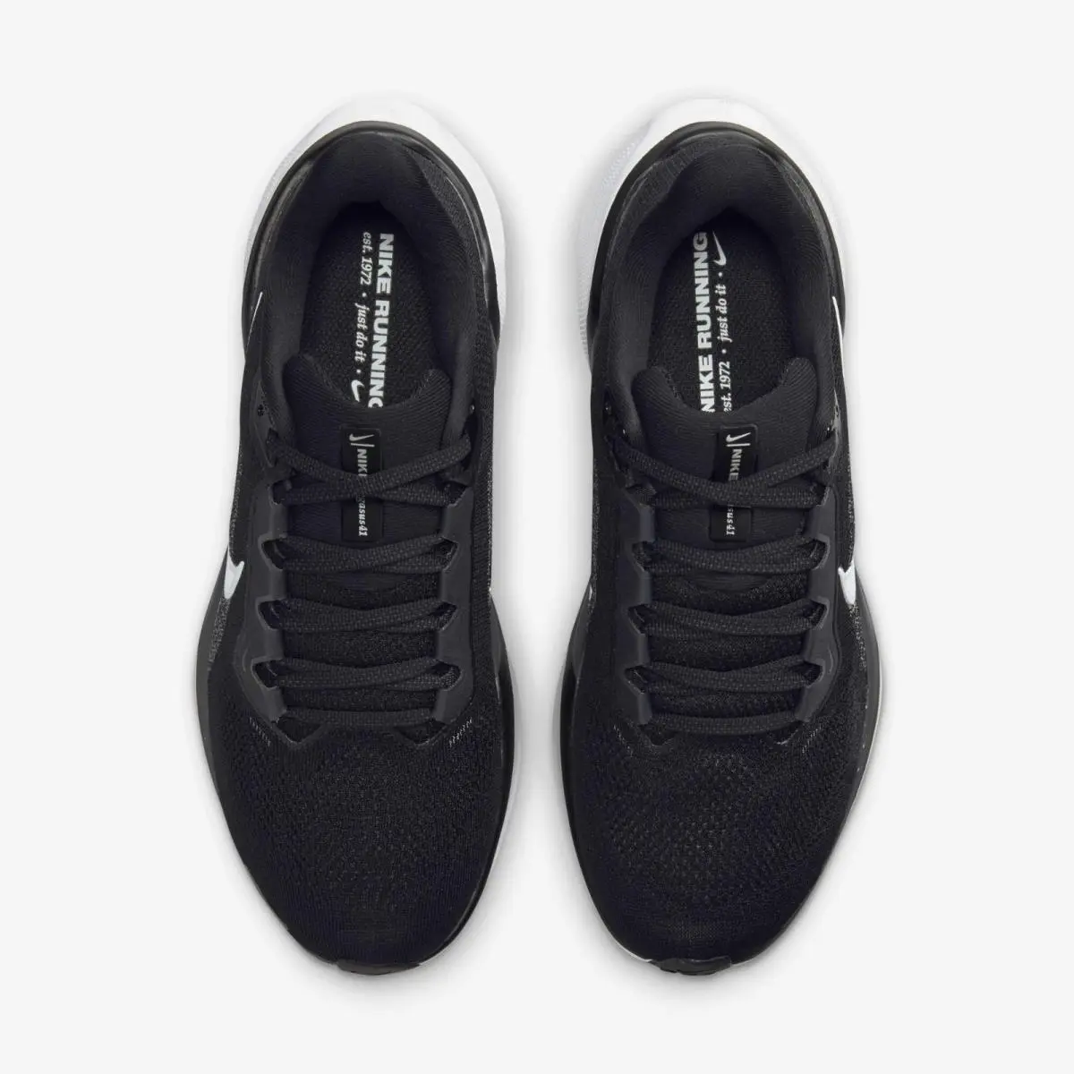 Nike shoes - Nike Pegasus 41 FD2723-002 - Pegasus - FD2723-002 - Black 10