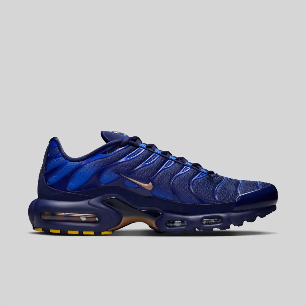 Nike shoes - Nike Air Max Plus - Air Max Plus - IQ0170-400 - Blue 1