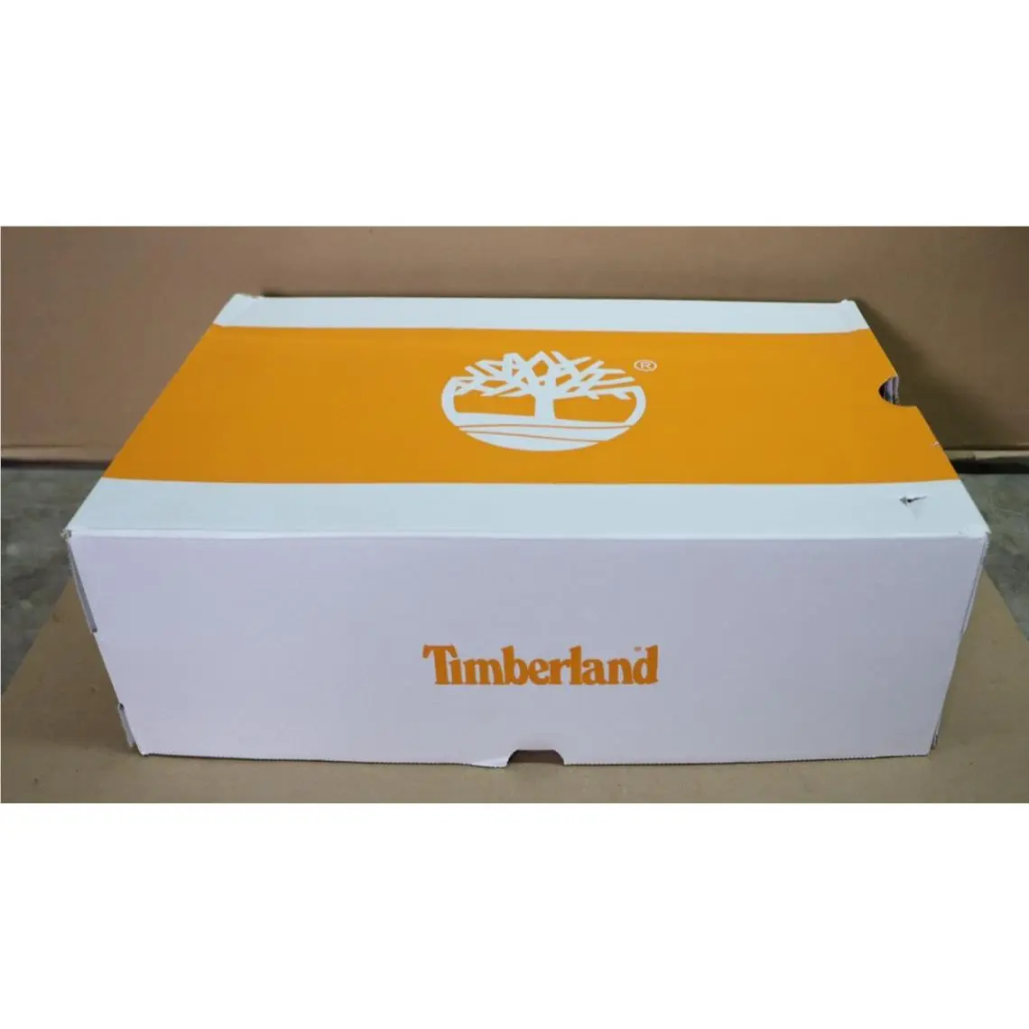 Timberland shoes - Mt. Maddsen - Maddsen - Multicolor 10
