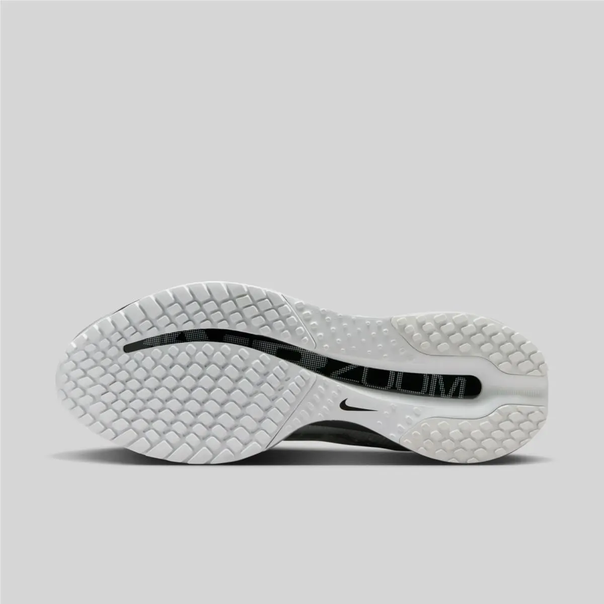 Nike shoes - Nike Air Zoom Pegasus 41 - IR1229-001 - Gray 4