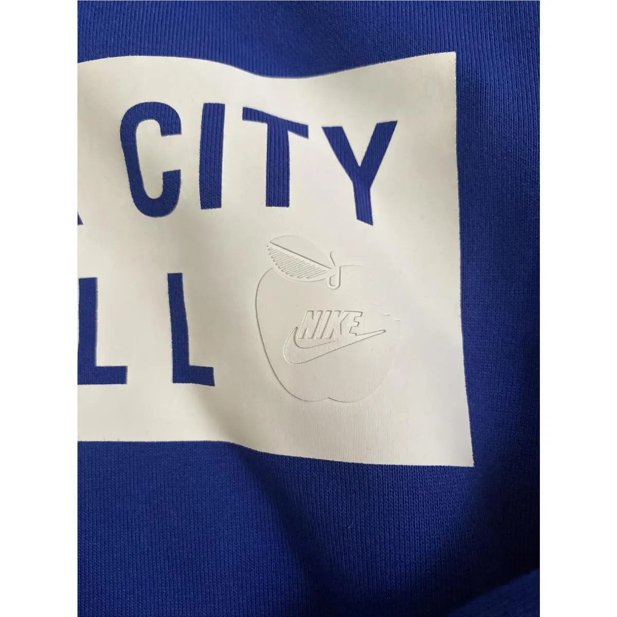Nike clothing - Blue (UPC: 0192502811618) 2
