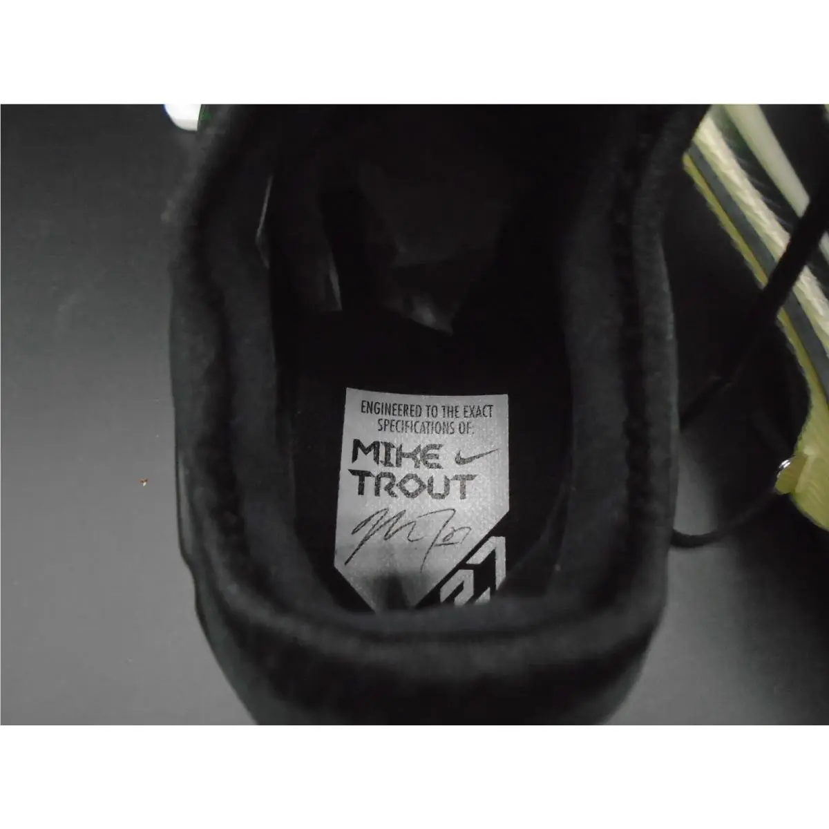 Nike shoes - Nike Lunar Trout - Lunar Trout - Black 4
