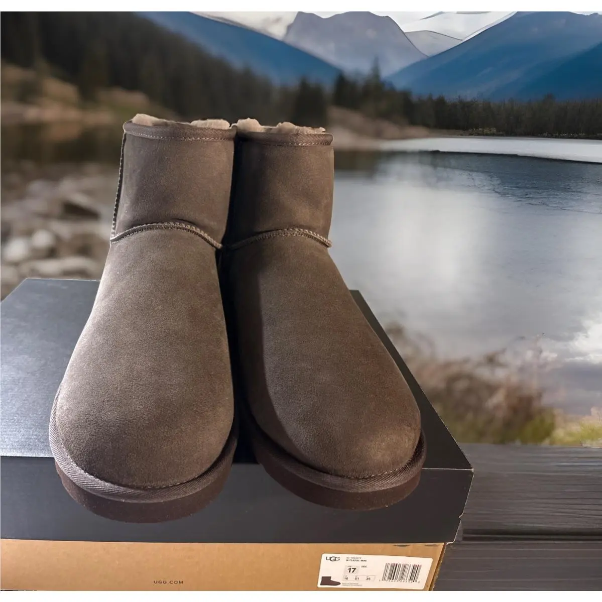 UGG shoes - 1002072 - 1002072 - Dusted Cocoa 4