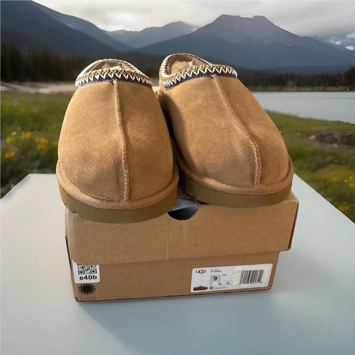 UGG shoes - UGG Tasman 5955 - Tasman - Chestnut 0