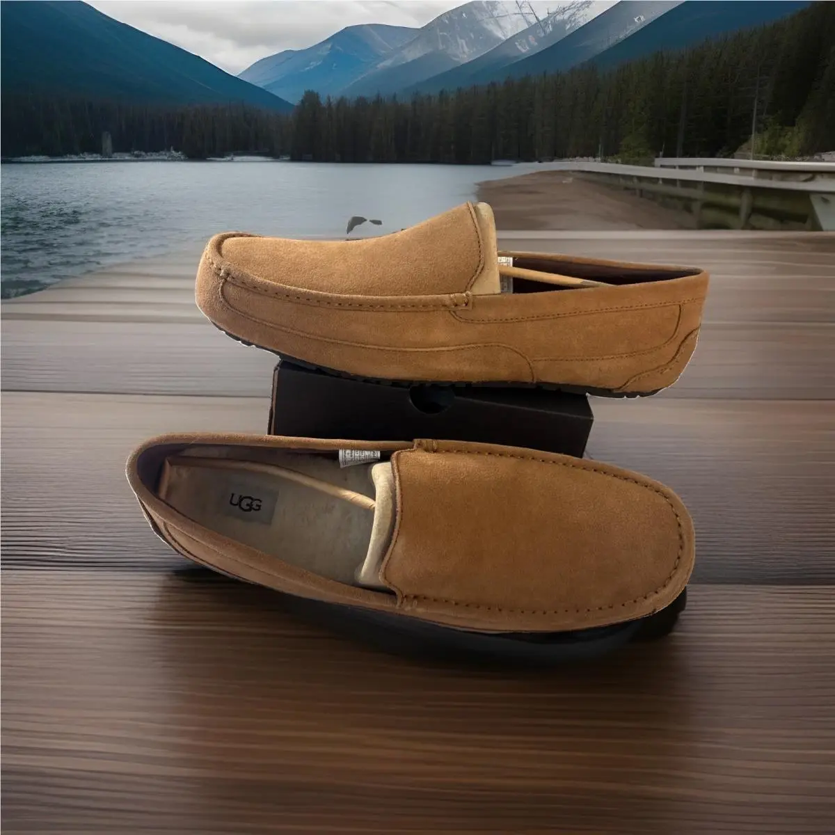 UGG shoes - UGG ALDER 1003419 - ALDER - Chestnut 0