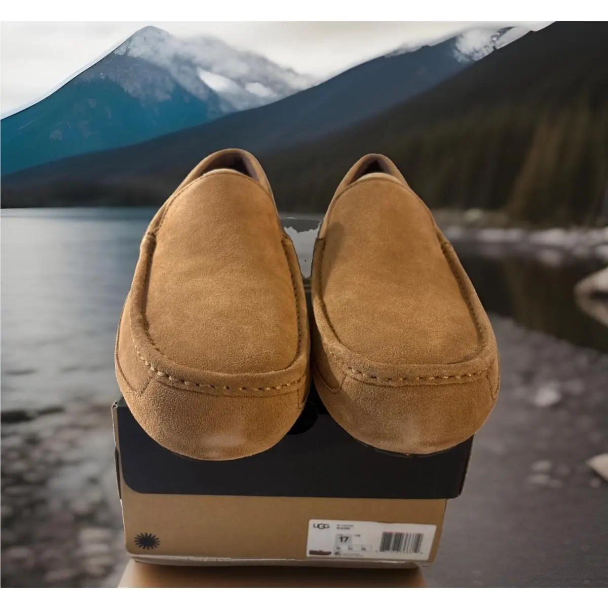 UGG shoes - UGG ALDER 1003419 - ALDER - Chestnut 6