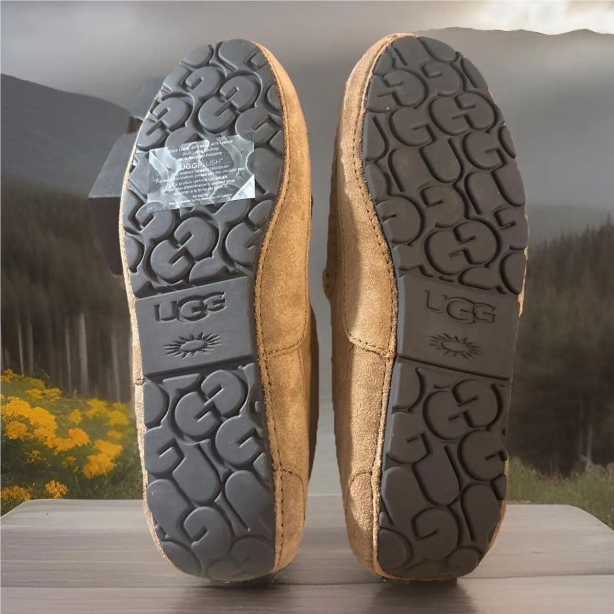UGG shoes - UGG ALDER 1003419 - ALDER - Chestnut 15