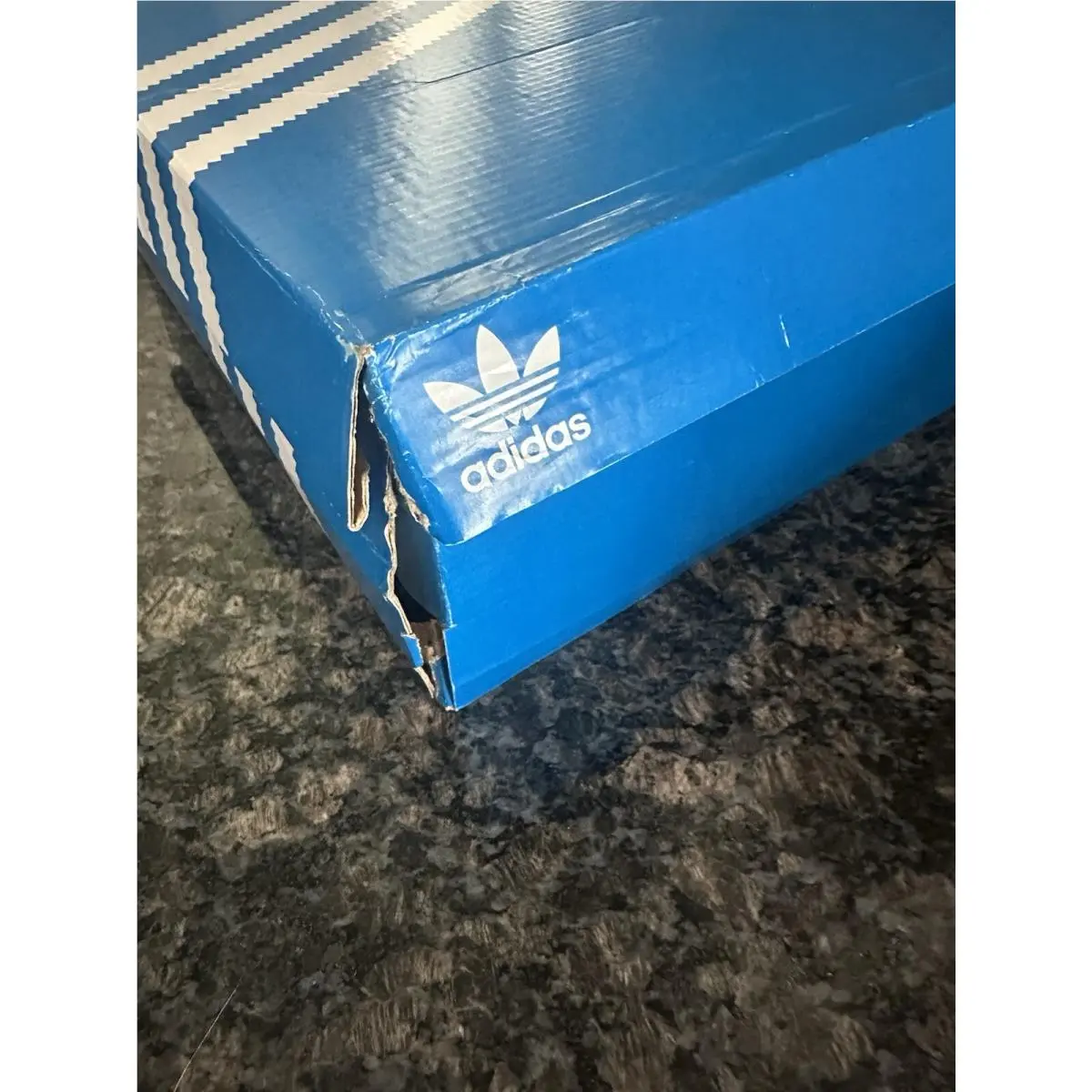 Adidas shoes - adidas Gazelle - Gazelle - HQ9017 - White 13