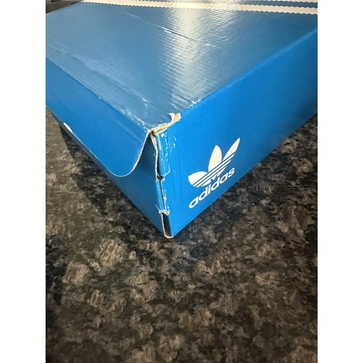 Adidas shoes - adidas Gazelle - Gazelle - HQ9017 - White 14