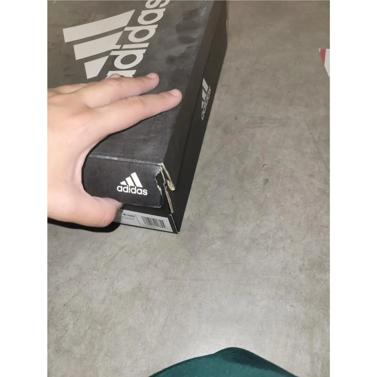 Adidas shoes - adidas Pro Bounce 2019 - Pro Bounce - EE3898 - Red 21