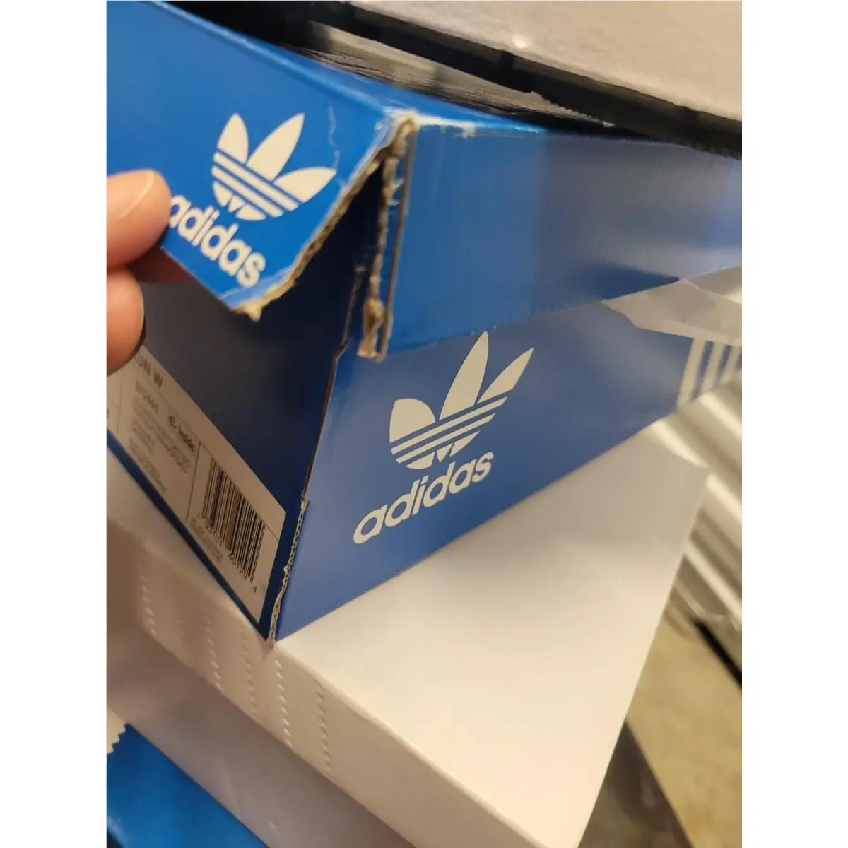 Adidas shoes - ADIDAS SUPERSTAR - SUPERSTAR - G55658 - White 9