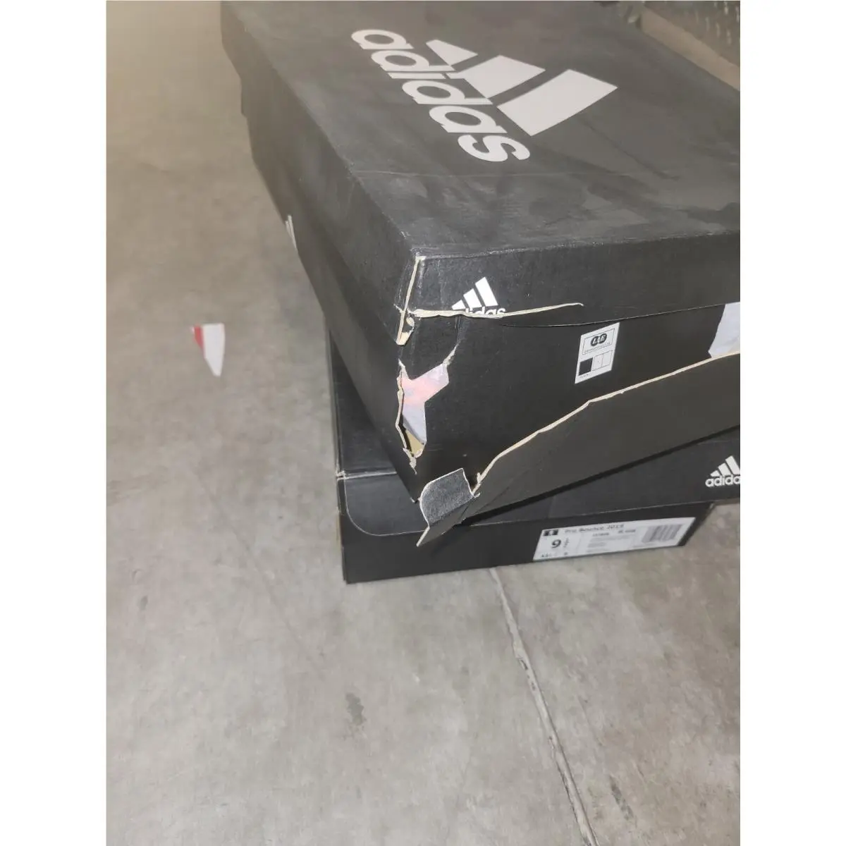 Adidas shoes - adidas Pro Bounce 2019 - Pro Bounce - G26168 - Multicolor 11