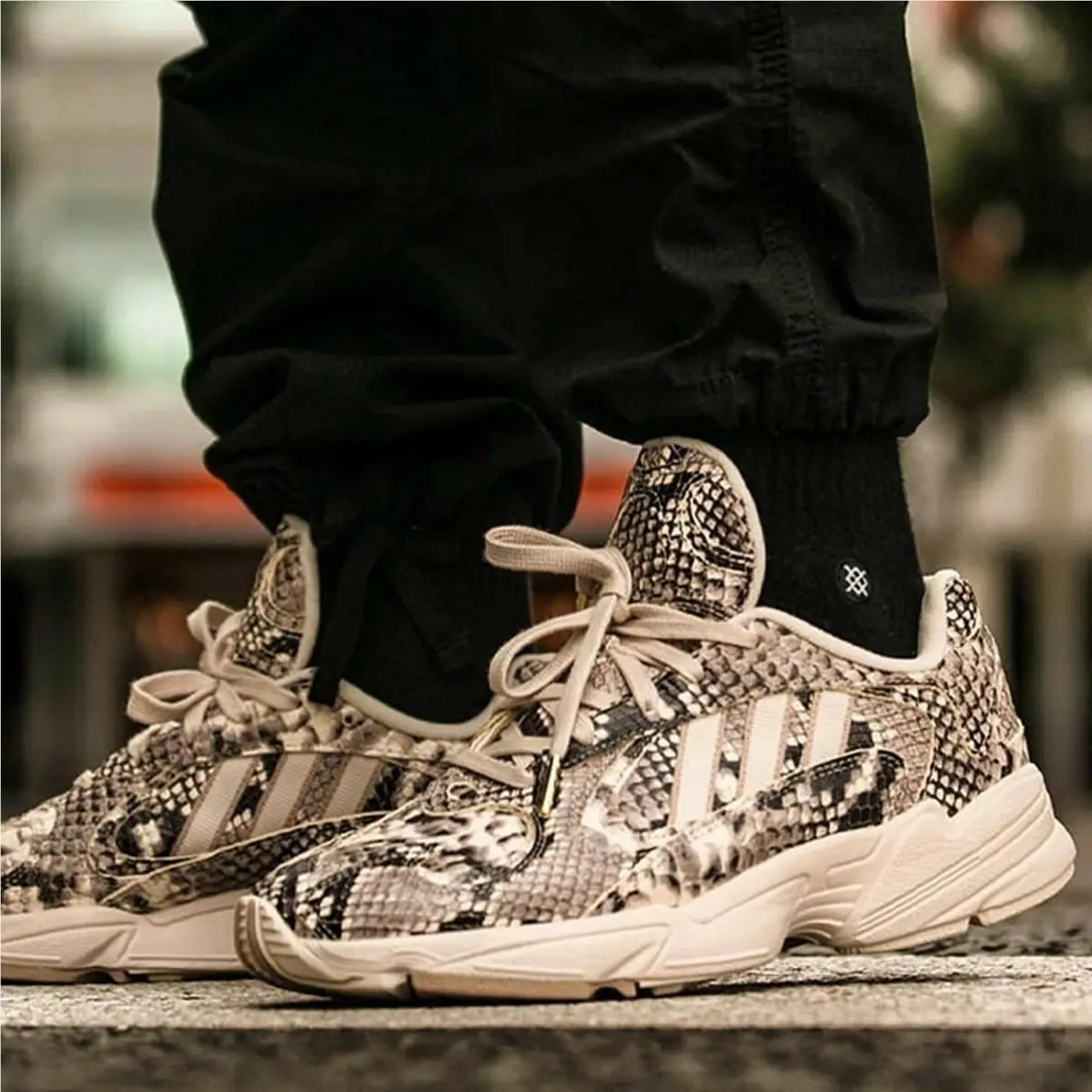 Adidas shoes - adidas Yung-1 - EG1717 - snake skin 0