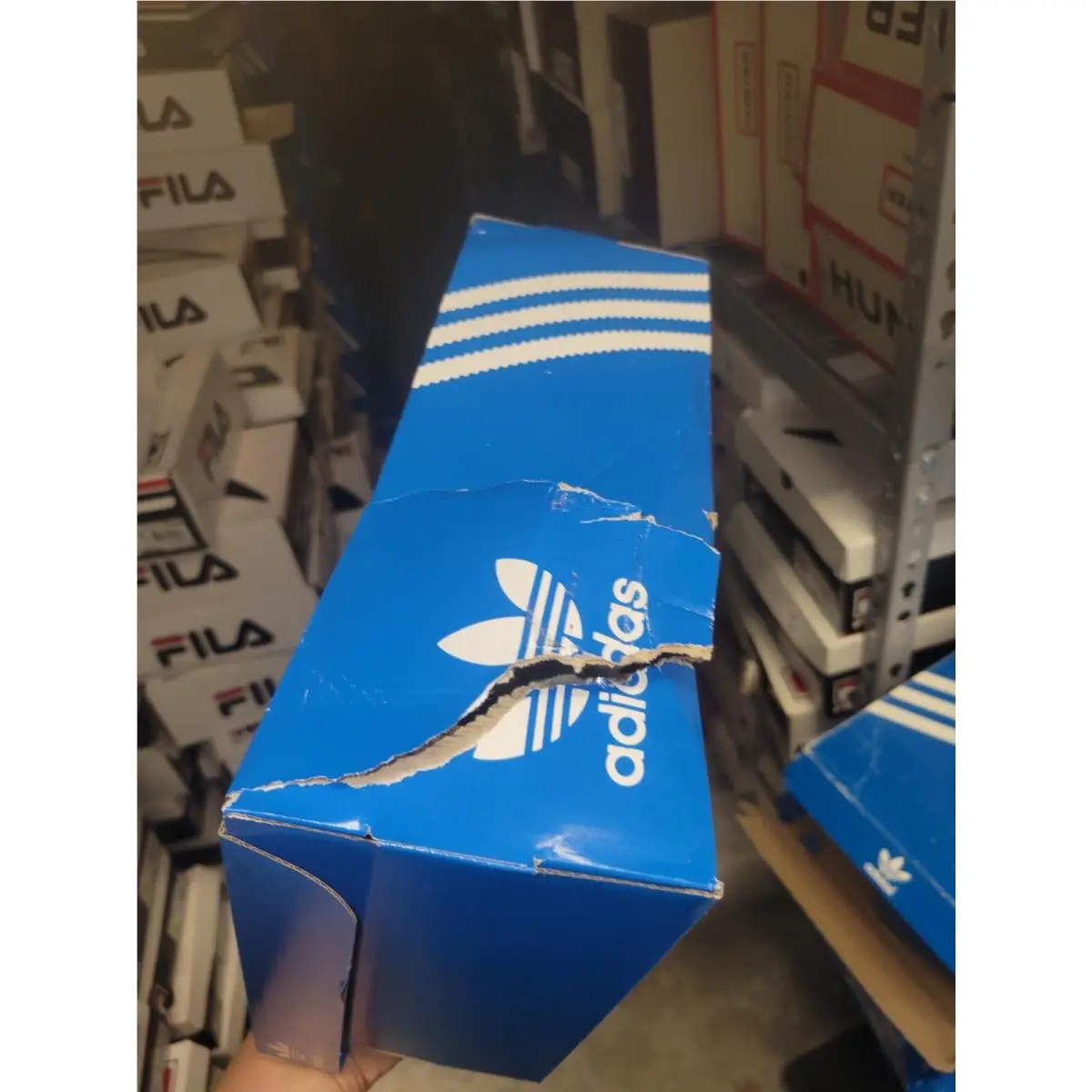 Adidas shoes - adidas - EE3656 - CORE BLACK 13