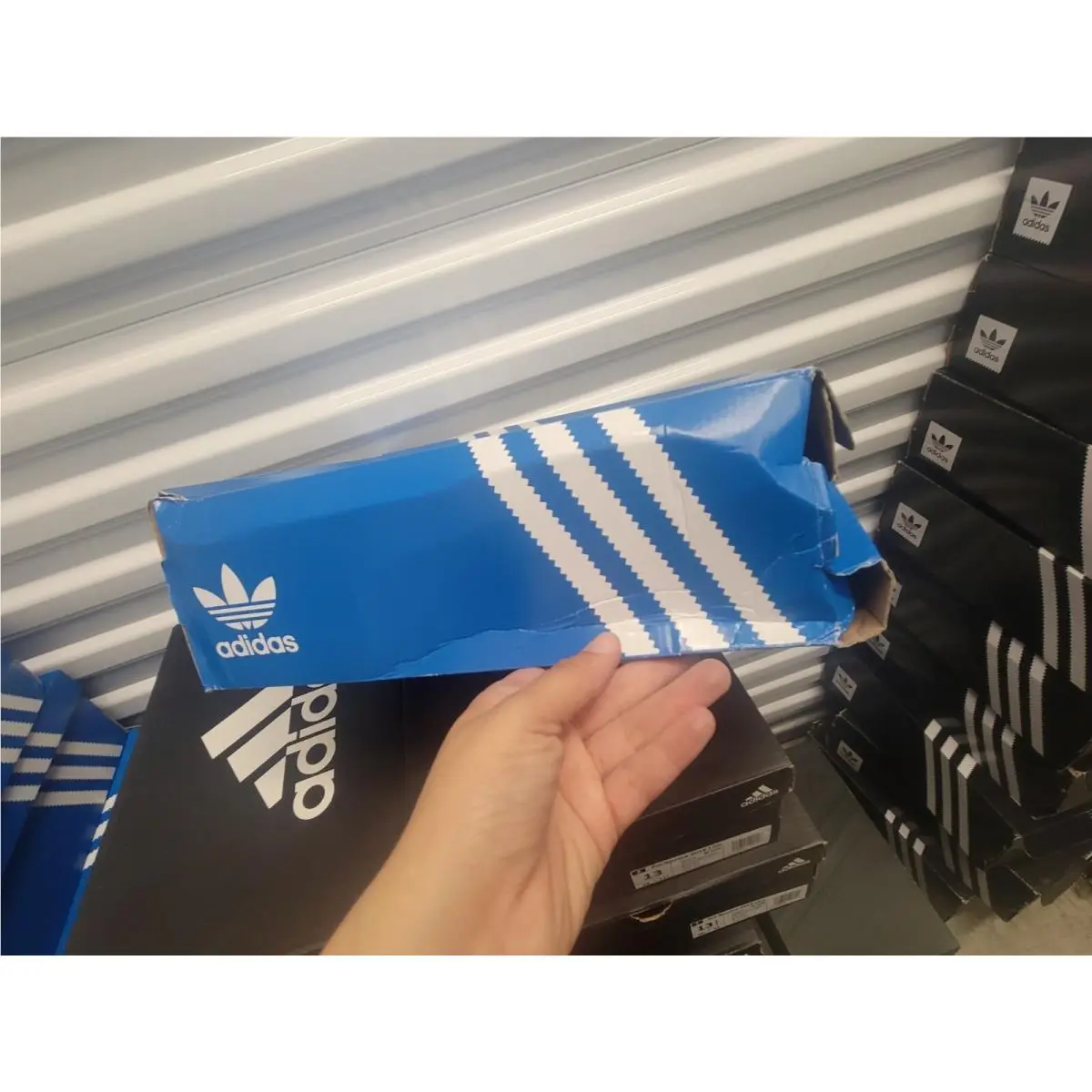 Adidas shoes - Superstar Laceless - Superstar Laceless - White 32