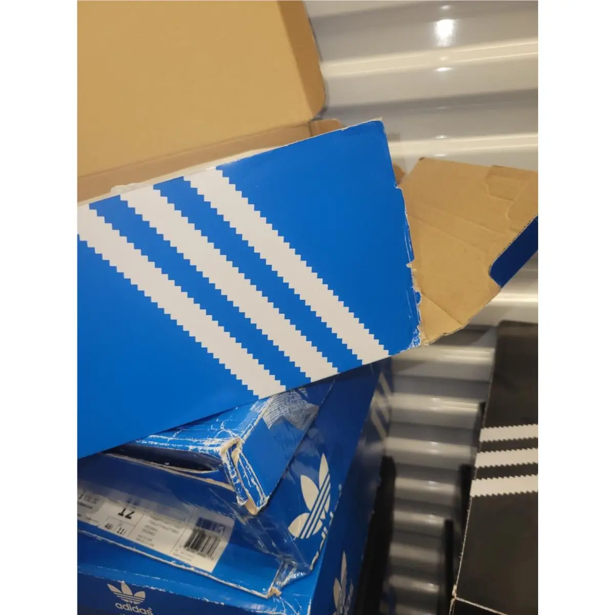 Adidas shoes - adidas LA Trainer - Trainer - FY3704 - White 36
