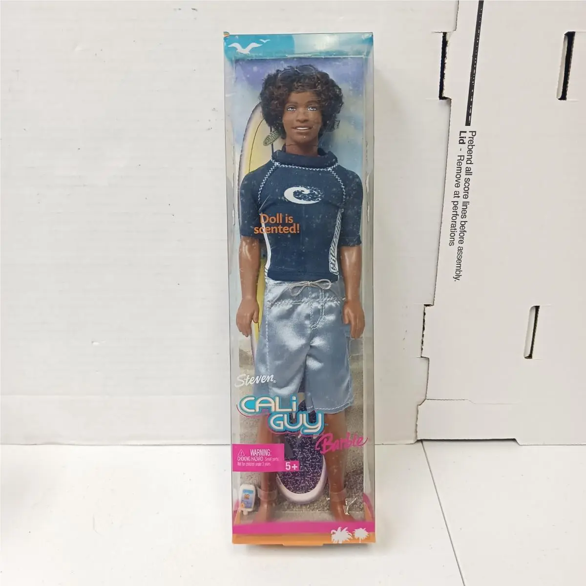 Cali Guy African American Steven Ken w Rooted Afro Blue Eyes Mattel