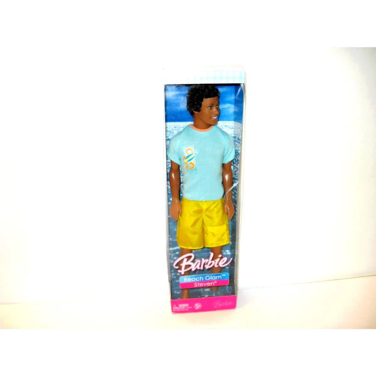 Barbie Beach Glam Steven African American Boy Doll W/rooted Hair/outfit