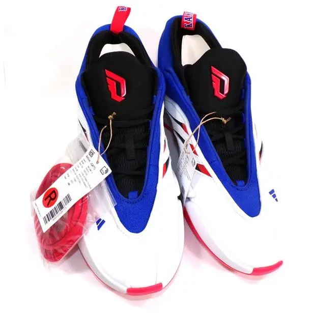 Adidas shoes 1