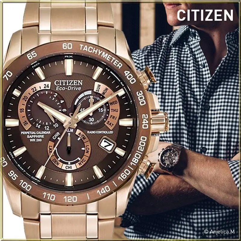 Citizn Eco-drive® Perpetual Calendar Chronograph AT Watch AT4106-52X by Citizen