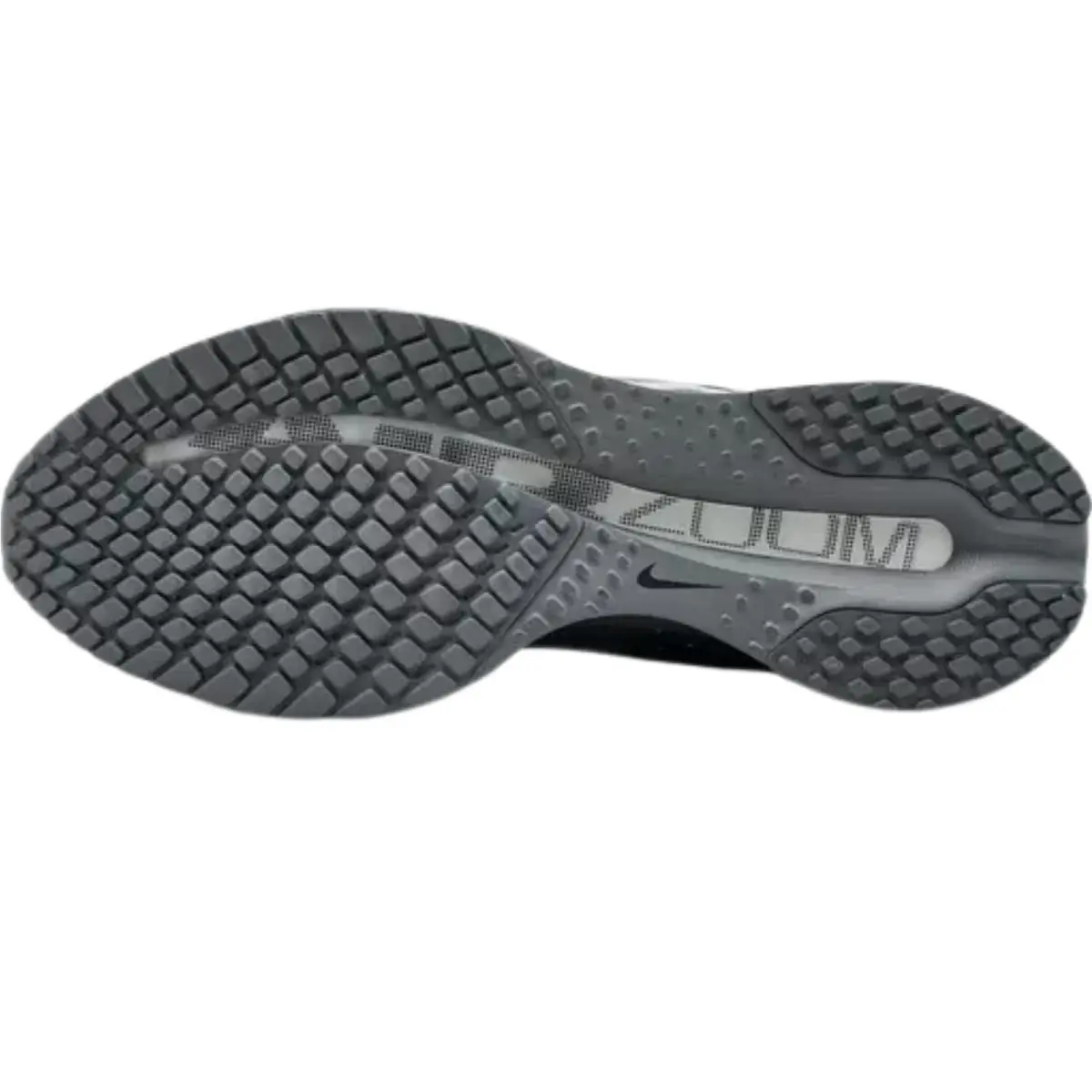 Nike shoes - Nike Pegasus Premium - Pegasus Premium - Black/Metallic Silver/Black 18