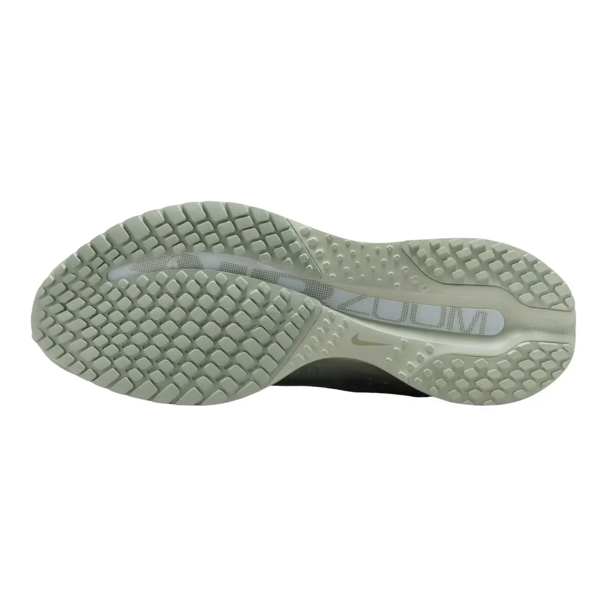 Nike shoes - NIKE Pegasus Premium - Pegasus Premium - HQ2592-300 - Jade Horizon/Light Army/Jade Horizon 2