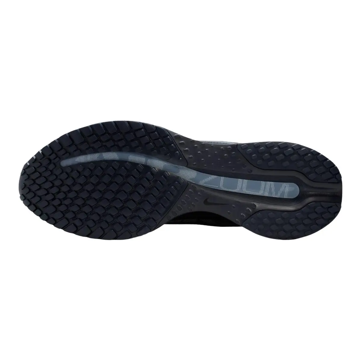 Nike shoes - NIKE Pegasus Premium - Pegasus Premium - HQ2592-405 - Thunder Blue/Ashen Slate/Obsidian/Black 2