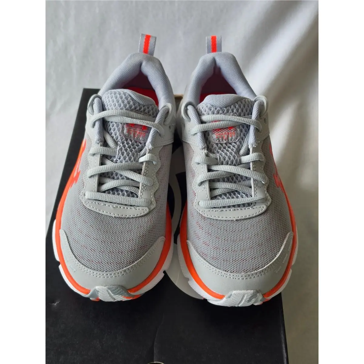 Under Armour shoes - UA BGS Assert 10 - BGS Assert - Gray 1