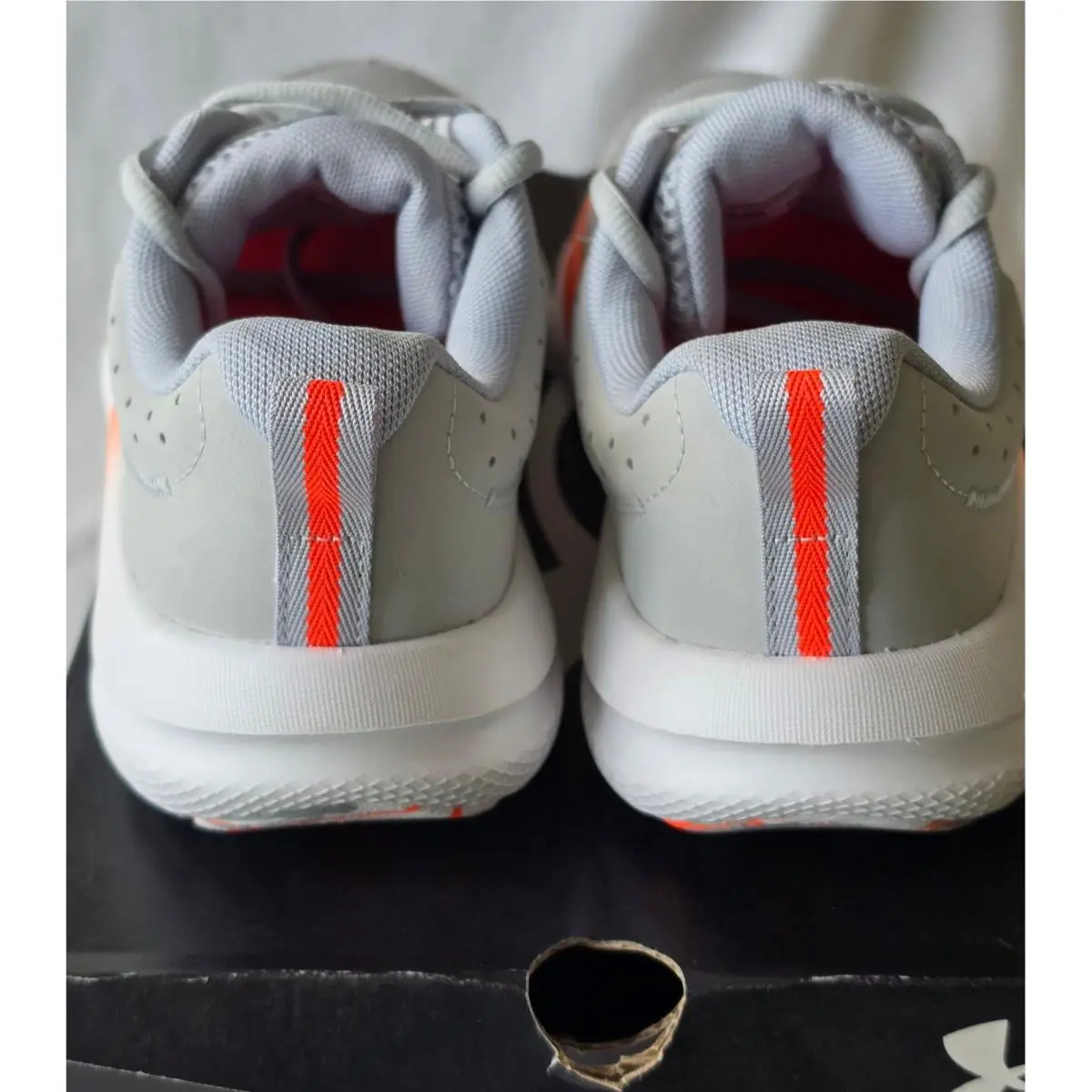 Under Armour shoes - UA BGS Assert 10 - BGS Assert - Gray 2