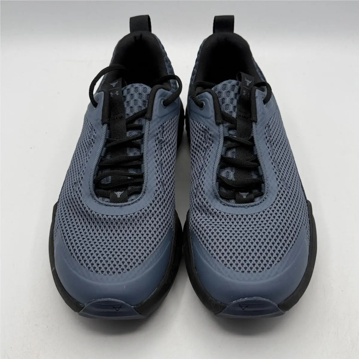 Under Armour shoes - Under Armour Project Rock BSR 5 - Gray 3