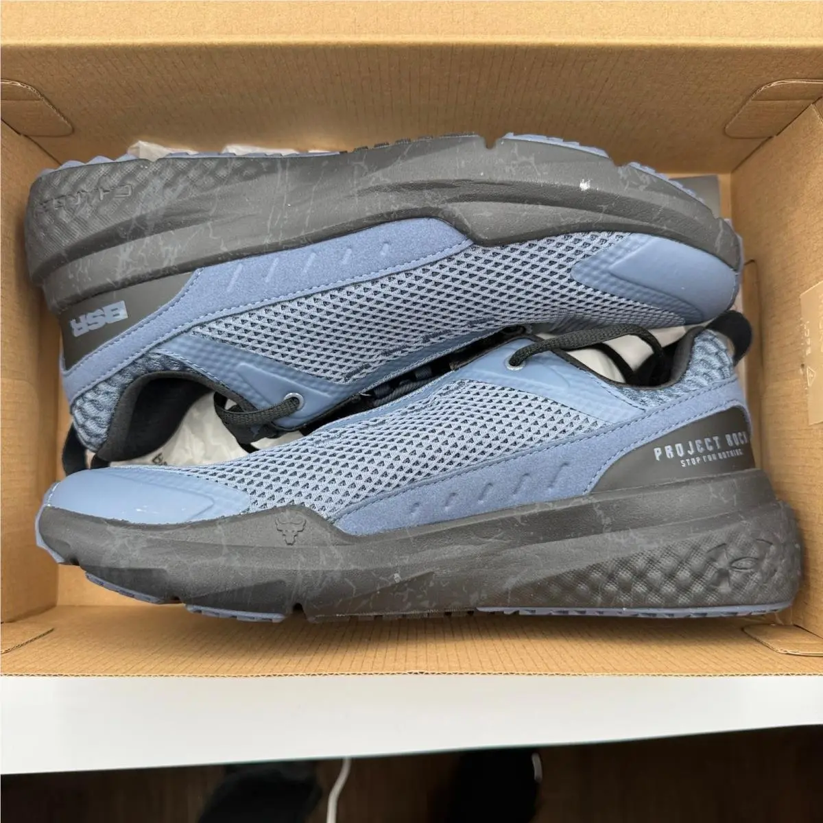 Under Armour shoes - Under Armour Project Rock BSR 5 - Gray 5