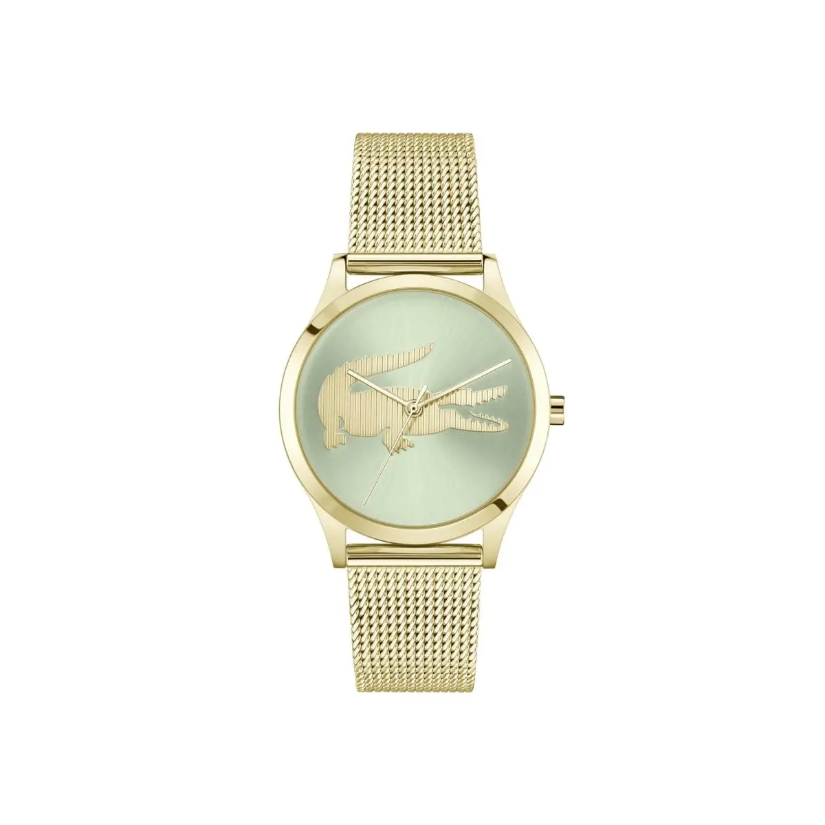Crocodelle Women`s 3H Quartz Watch Stainless Steel Mesh 36MM Green by Lacoste