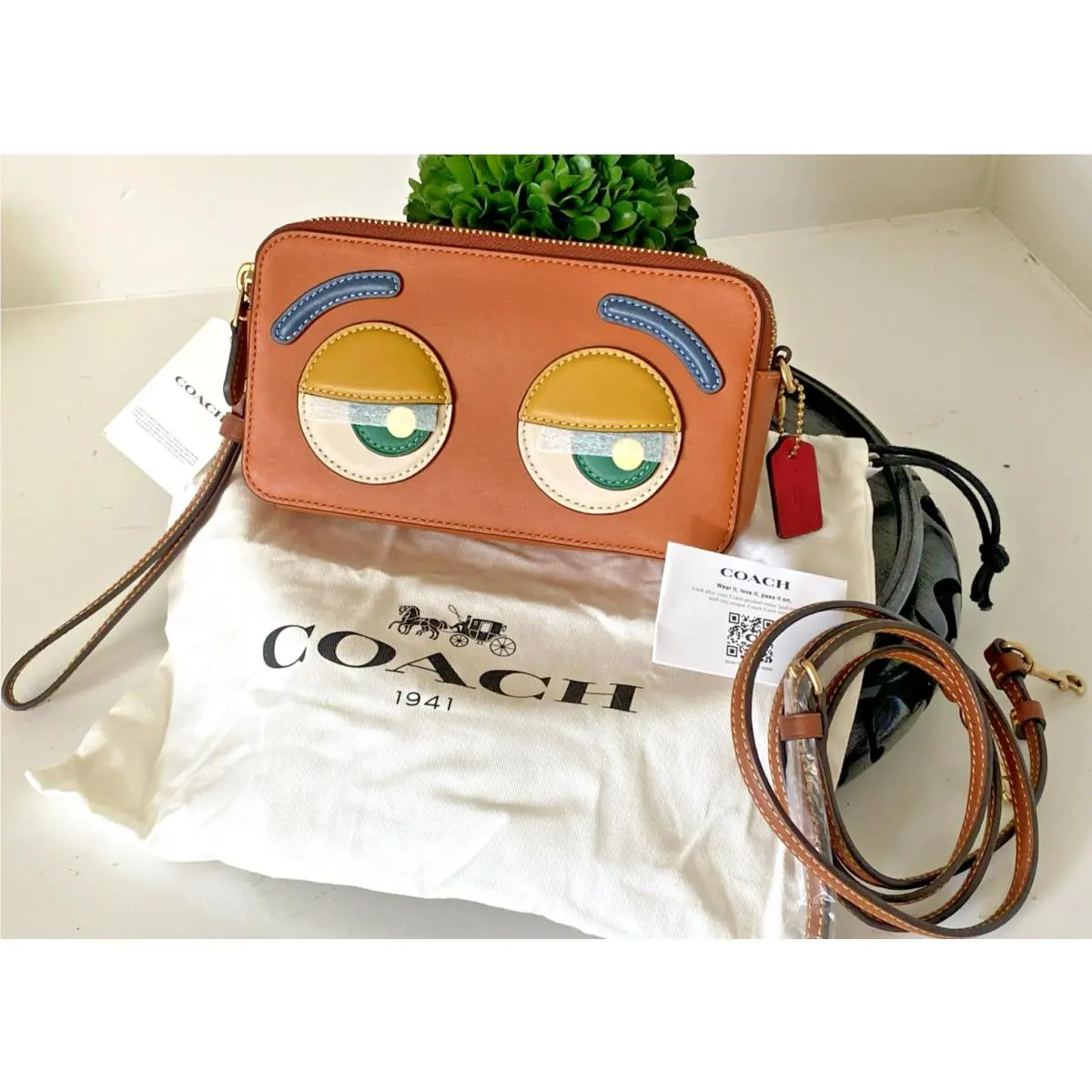 ies Dreamie Kira Crossbody Special Limited Edition Crossbody Bag by Coach