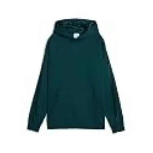 Women`s Essentials Elevated Satin Hoodie Green Terrain AH25 Small Ess Ele by Puma