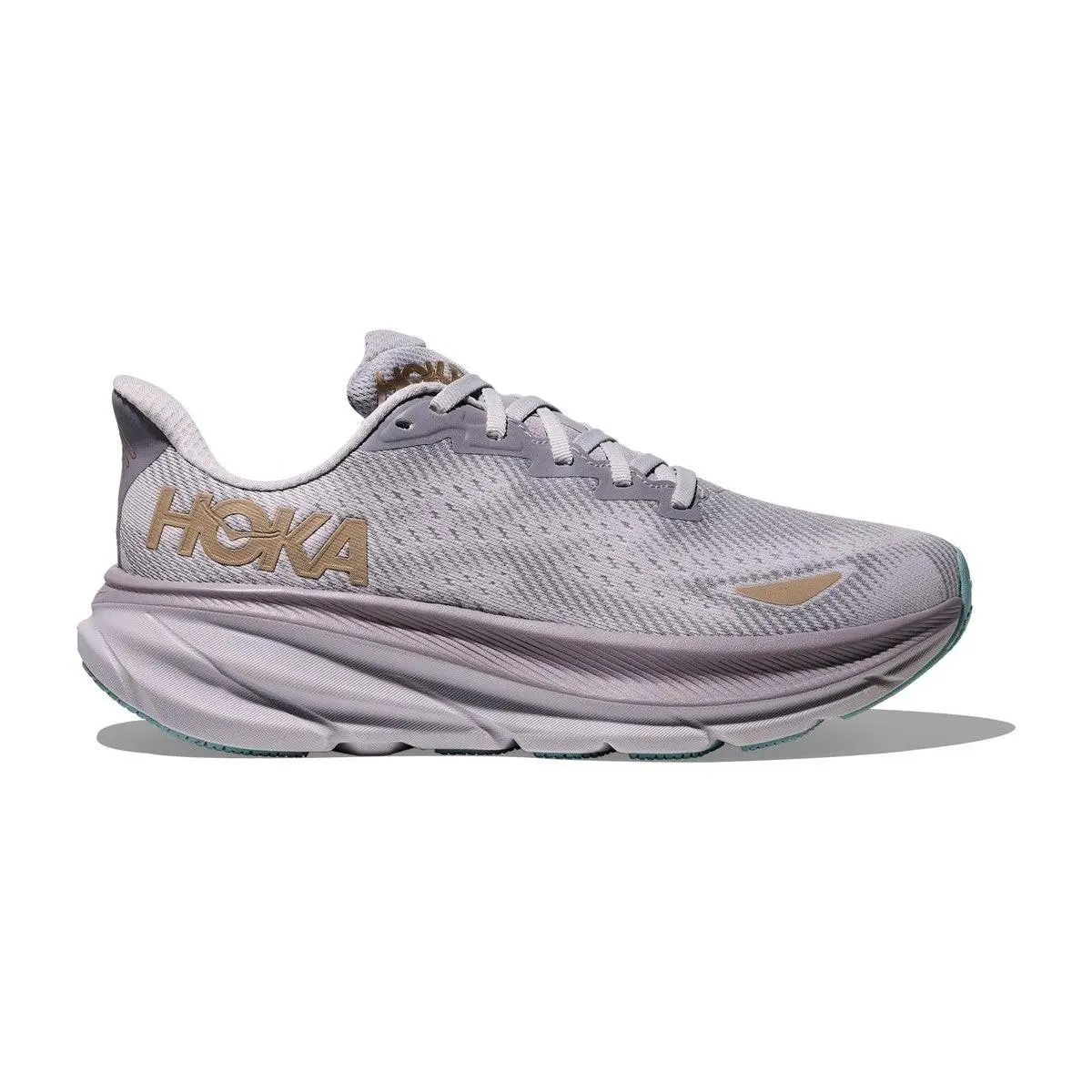 Hoka Women`s Clifton 9 Gtx Foggy Grey/ash Grey 1141490F-FYS
