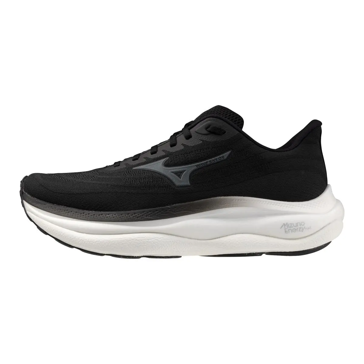 Mizuno Men`s Wave Sky 9 2E Running Shoe Neutral