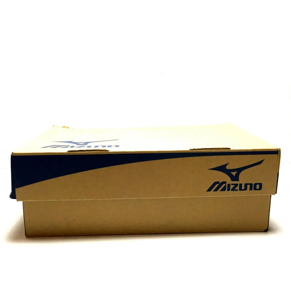 Mizuno shoes - Mizuno Dominant IC - Dominant - 320541 - Black / White 10